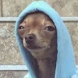 Meet your Posher, Abel